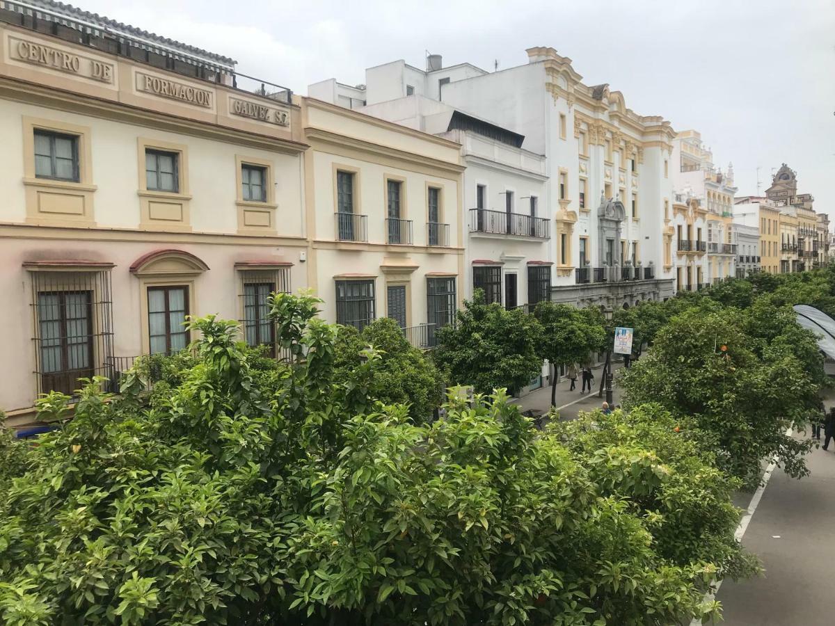 Апартаменты Apartamento Centro Jerez Херес-де-ла-Фронтера Экстерьер фото